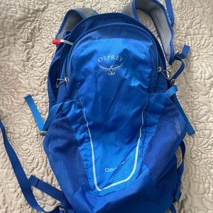 Osprey day pack